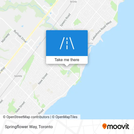 Springflower Way map