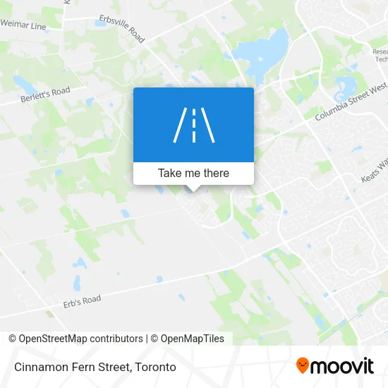 Cinnamon Fern Street map