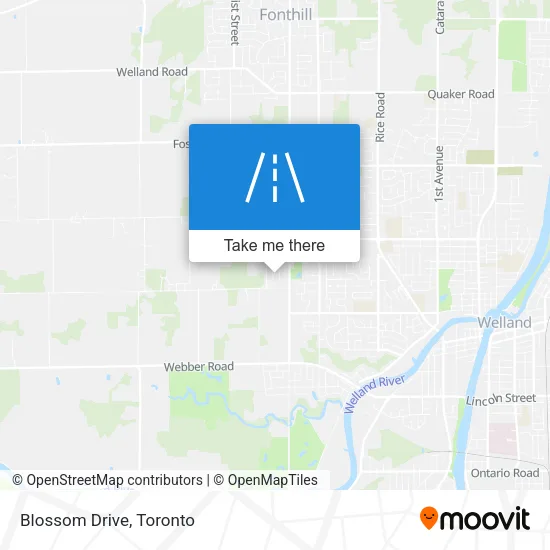 Blossom Drive map