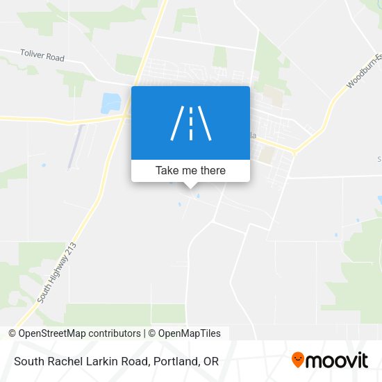South Rachel Larkin Road map