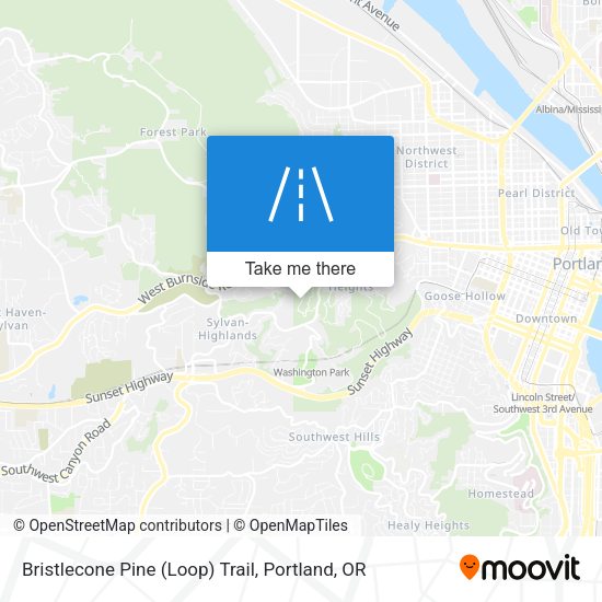 Bristlecone Pine (Loop) Trail map