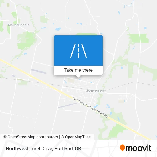 Northwest Turel Drive map