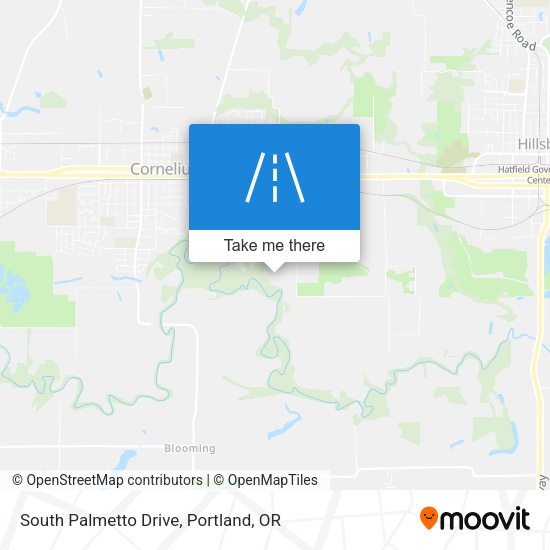 Mapa de South Palmetto Drive