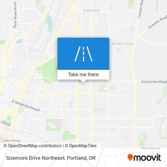 Sizemore Drive Northeast map