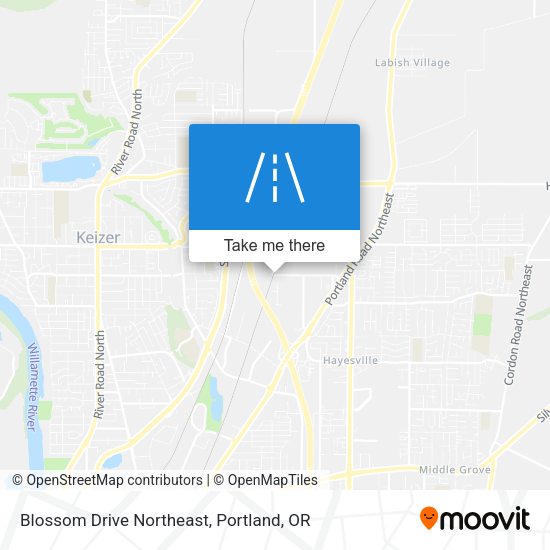 Mapa de Blossom Drive Northeast