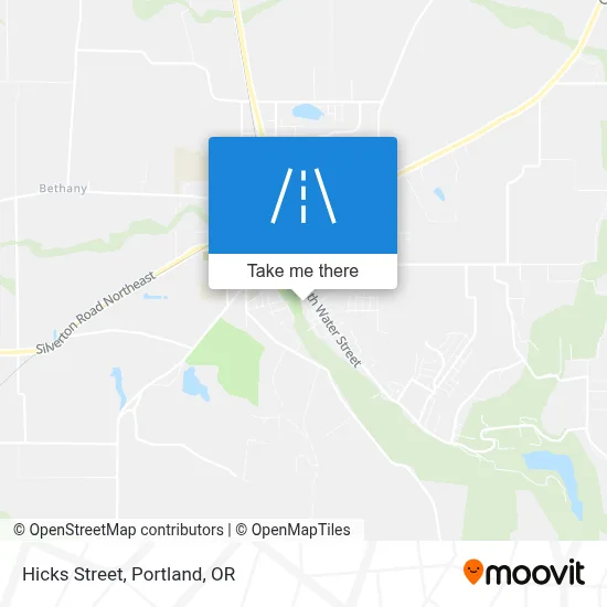 Hicks Street map