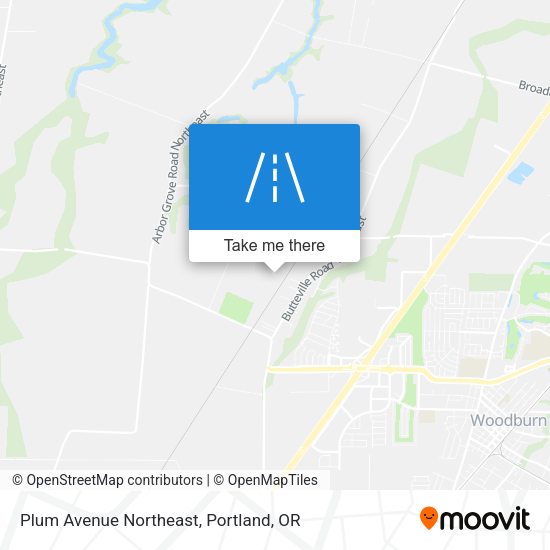 Plum Avenue Northeast map