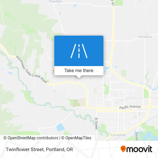 Twinflower Street map