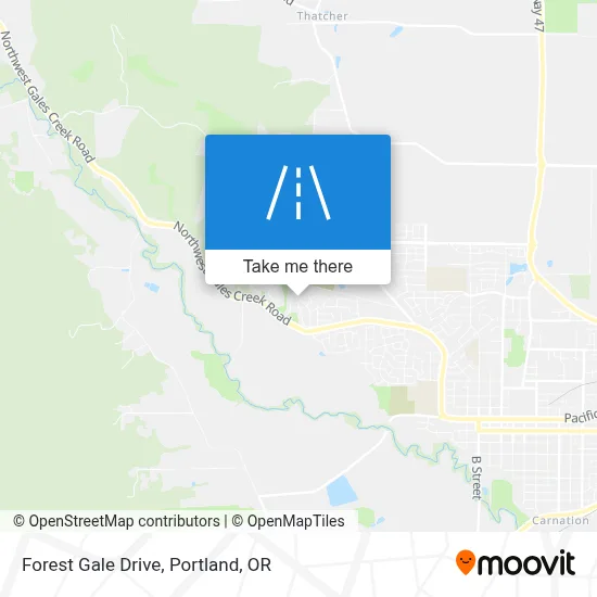 Forest Gale Drive map