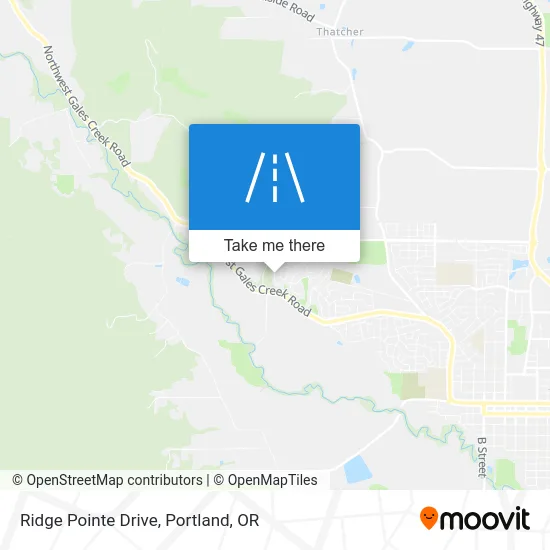 Ridge Pointe Drive map