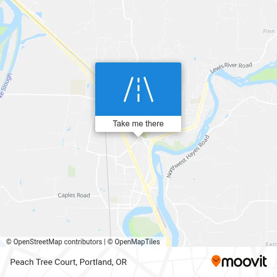 Peach Tree Court map