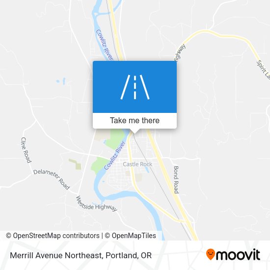Merrill Avenue Northeast map