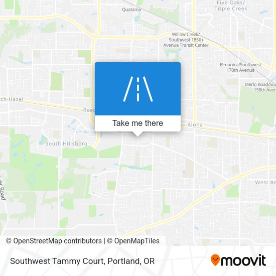 Southwest Tammy Court map