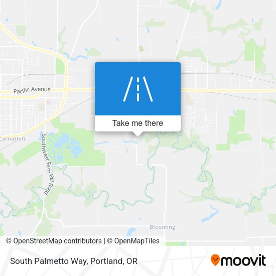 Mapa de South Palmetto Way