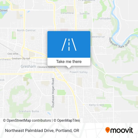 Northeast Palmblad Drive map