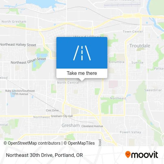 Northeast 30th Drive map