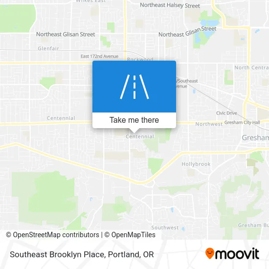 Southeast Brooklyn Place map