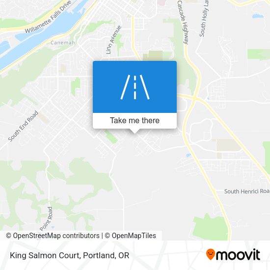 King Salmon Court map