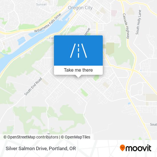 Silver Salmon Drive map