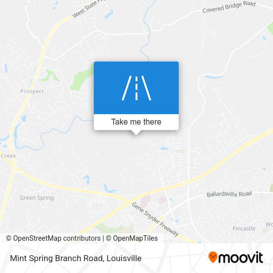 Mapa de Mint Spring Branch Road
