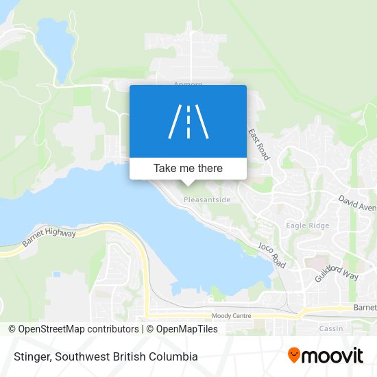 Stinger map