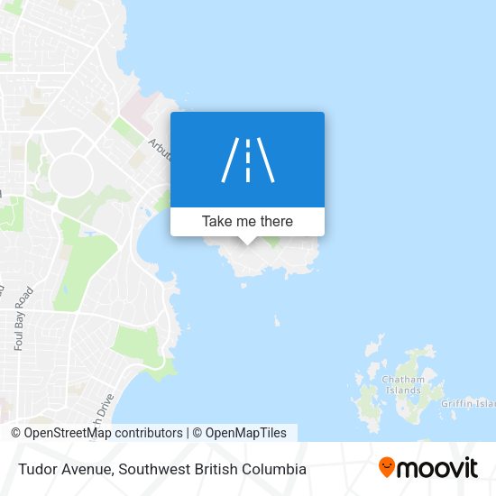 Tudor Avenue map