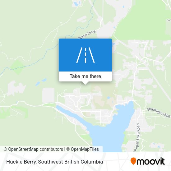 Huckle Berry plan