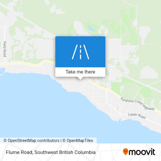 Flume Road map