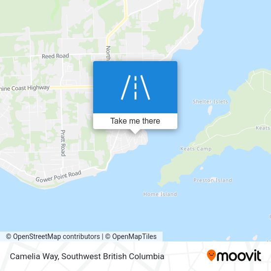Camelia Way map