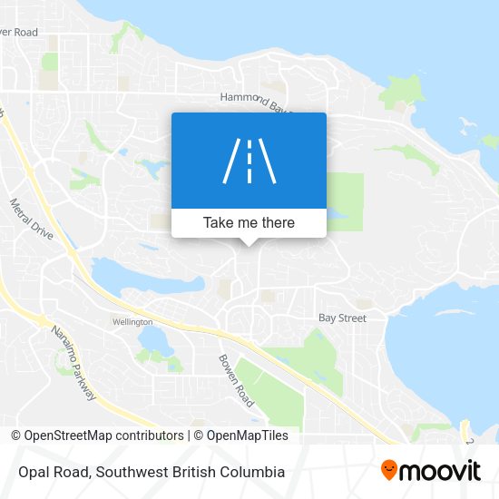 Opal Road map