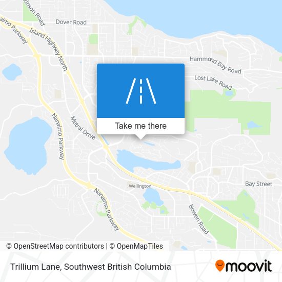 Trillium Lane plan