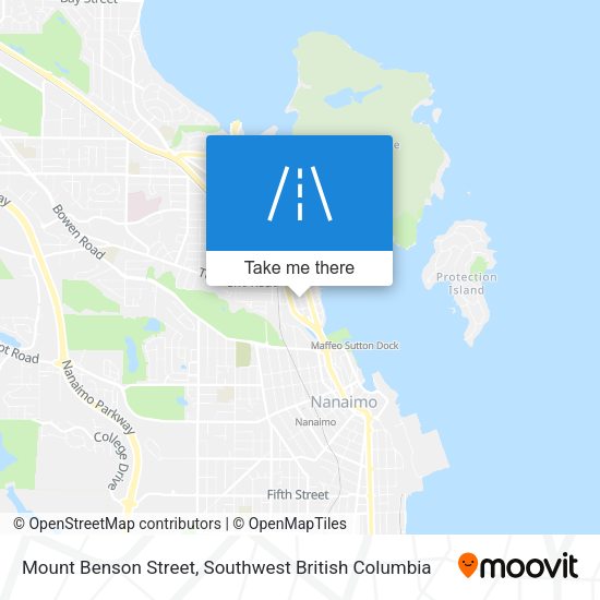 Mount Benson Street map