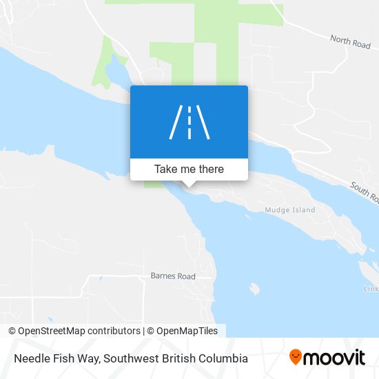 Needle Fish Way map