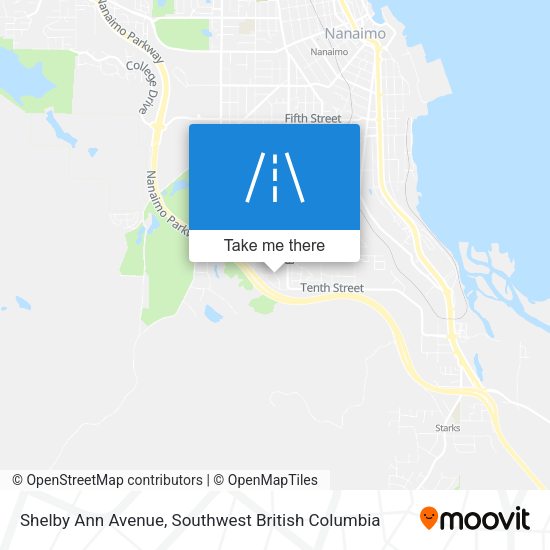 Shelby Ann Avenue plan