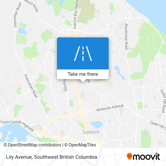 Lily Avenue map