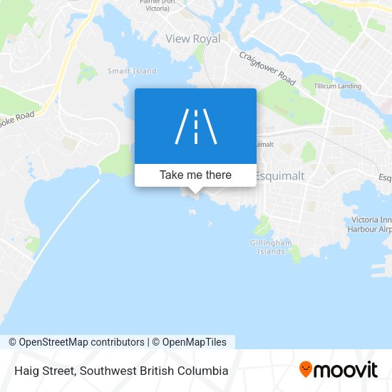 Haig Street map