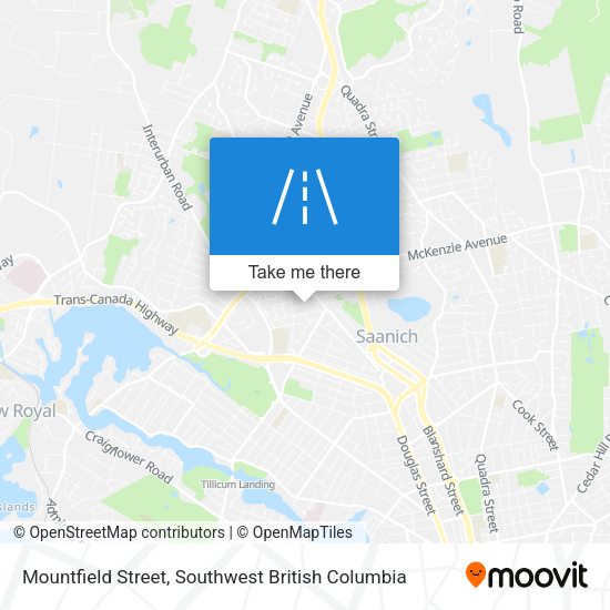 Mountfield Street plan