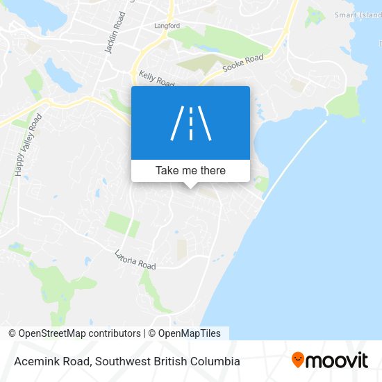 Acemink Road map