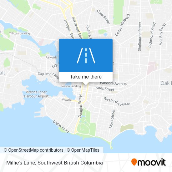 Millie's Lane plan