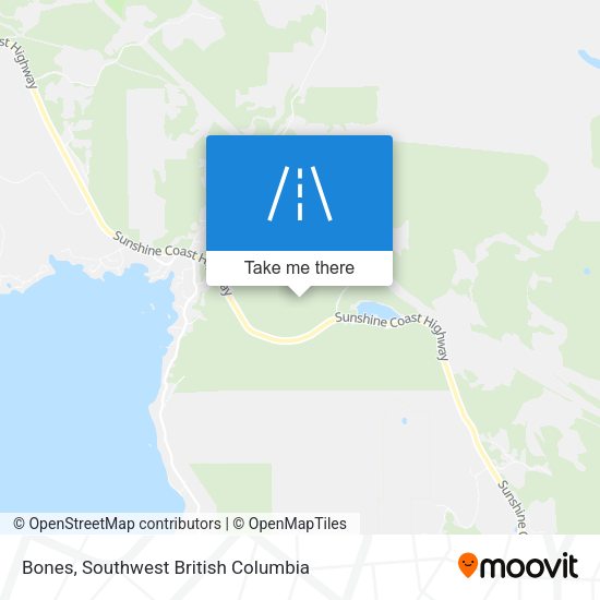 Bones map