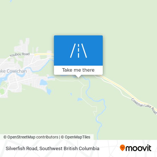 Silverfish Road map