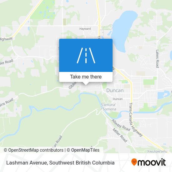 Lashman Avenue map