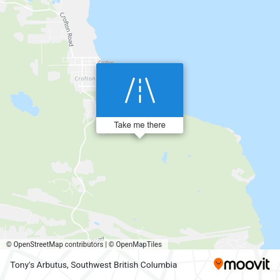 Tony's Arbutus plan