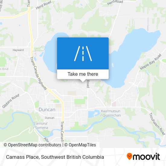 Camass Place plan