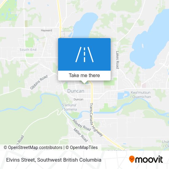 Elvins Street map
