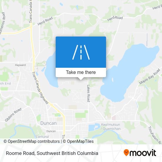 Roome Road map