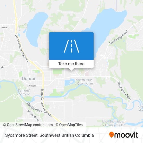 Sycamore Street map