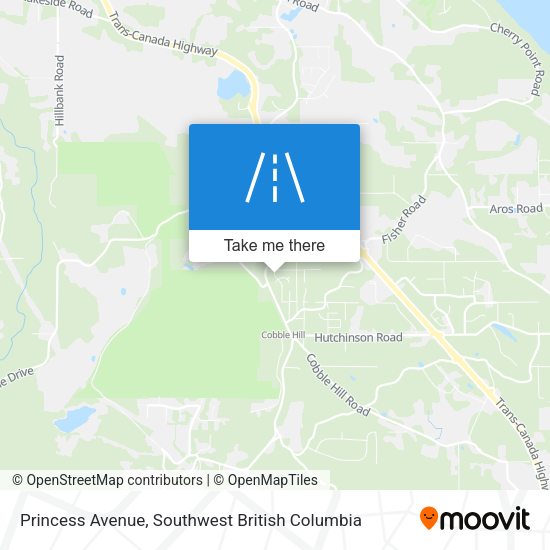 Princess Avenue map