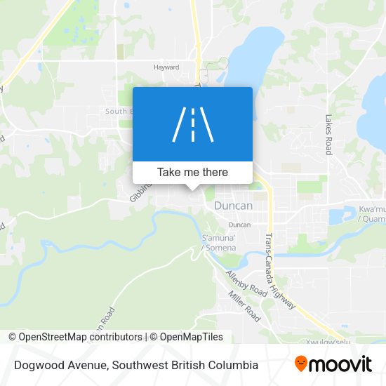Dogwood Avenue map