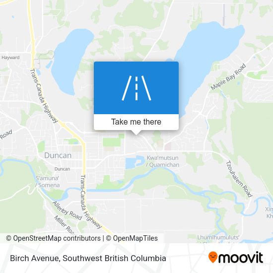 Birch Avenue map
